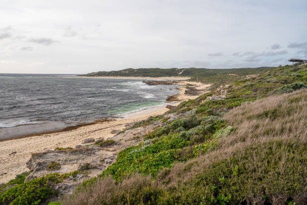 istock Coastline of South Western Australia 1699193632