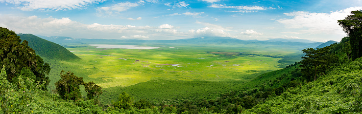 panoramic of the richly verdant Ngorongoro Crater, Tanzania.