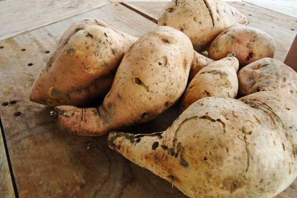 istock Sweet potatoes on the table 1699213996
