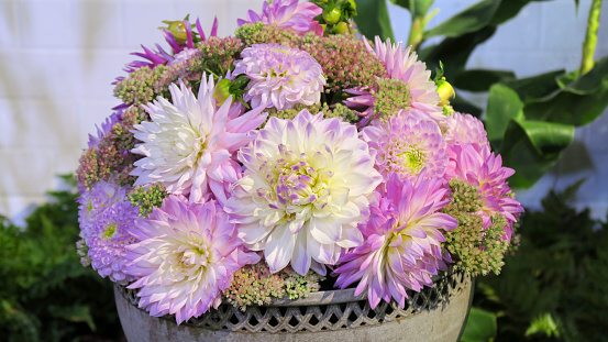 Bouquet of pink, violet and white aster over wooden background, top view