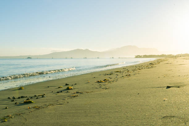 istock Idyllic tropical island beach scene at sunrise 1699241630