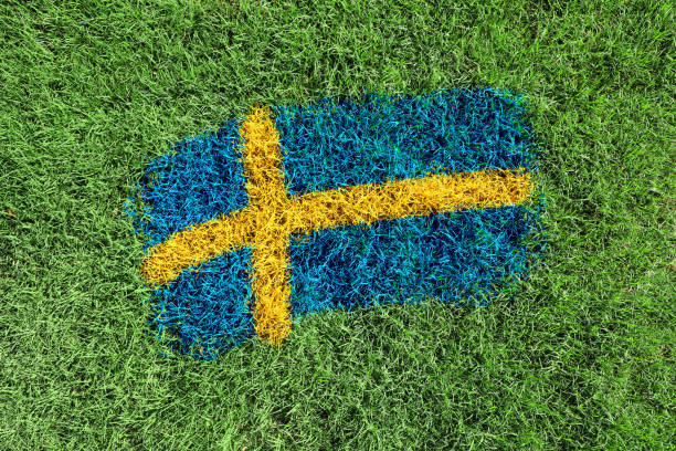 istock Sweden flag colors painted on grass field 1699248621