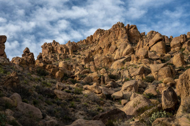 istock Smooth Rocks Crowd The Hillside At Grapevine Hills In Big Bend 1699270374