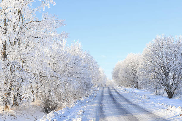 istock Russian nature in winter, Christmas background. After a snowfall, tree branches are covered with snow and sparkle in the sun, severe frost and low temperatures. This is a beautiful winter banner, 1699288381