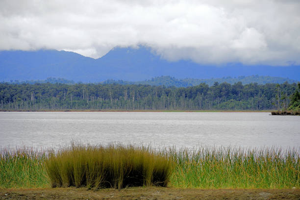 On the West Coast near Hokitika, Lake Mahinapua is a shallow lake on the West Coast of New Zealand's South Island. Once a lagoon at the mouth of the Hokitika River, it became a lake when the river shifted its course.