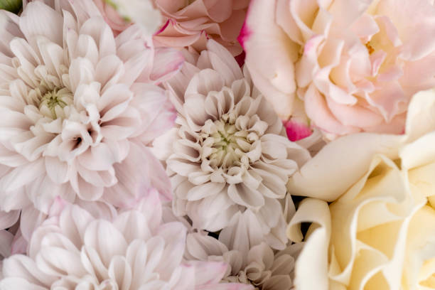 istock a bouquet with different types of flowers in close-up 1699297041