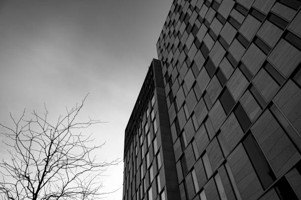 istock Low angle view of a modern building in black and white 1699297341
