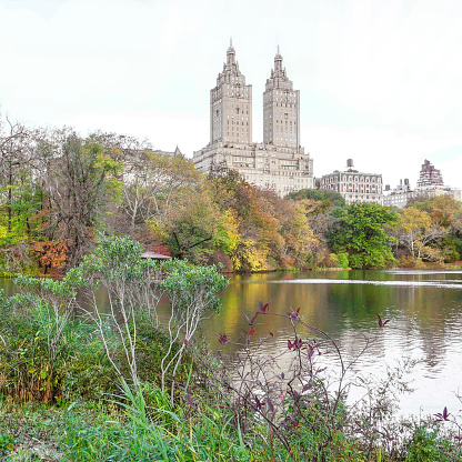Central Park and Upper West Side skyline in New York City, USA.