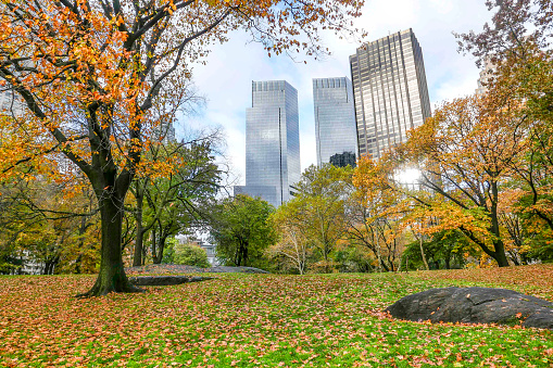 Gold autumn in Central Park, New York City. Columbus circle, Manhattan.