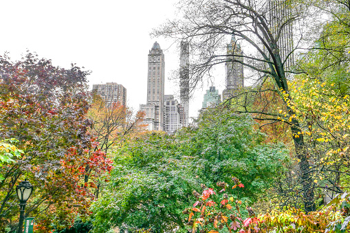 Central Park winter at night with skyscrapers in midtown Manhattan New York City