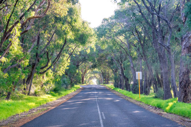 Caves Road in Western Australia.