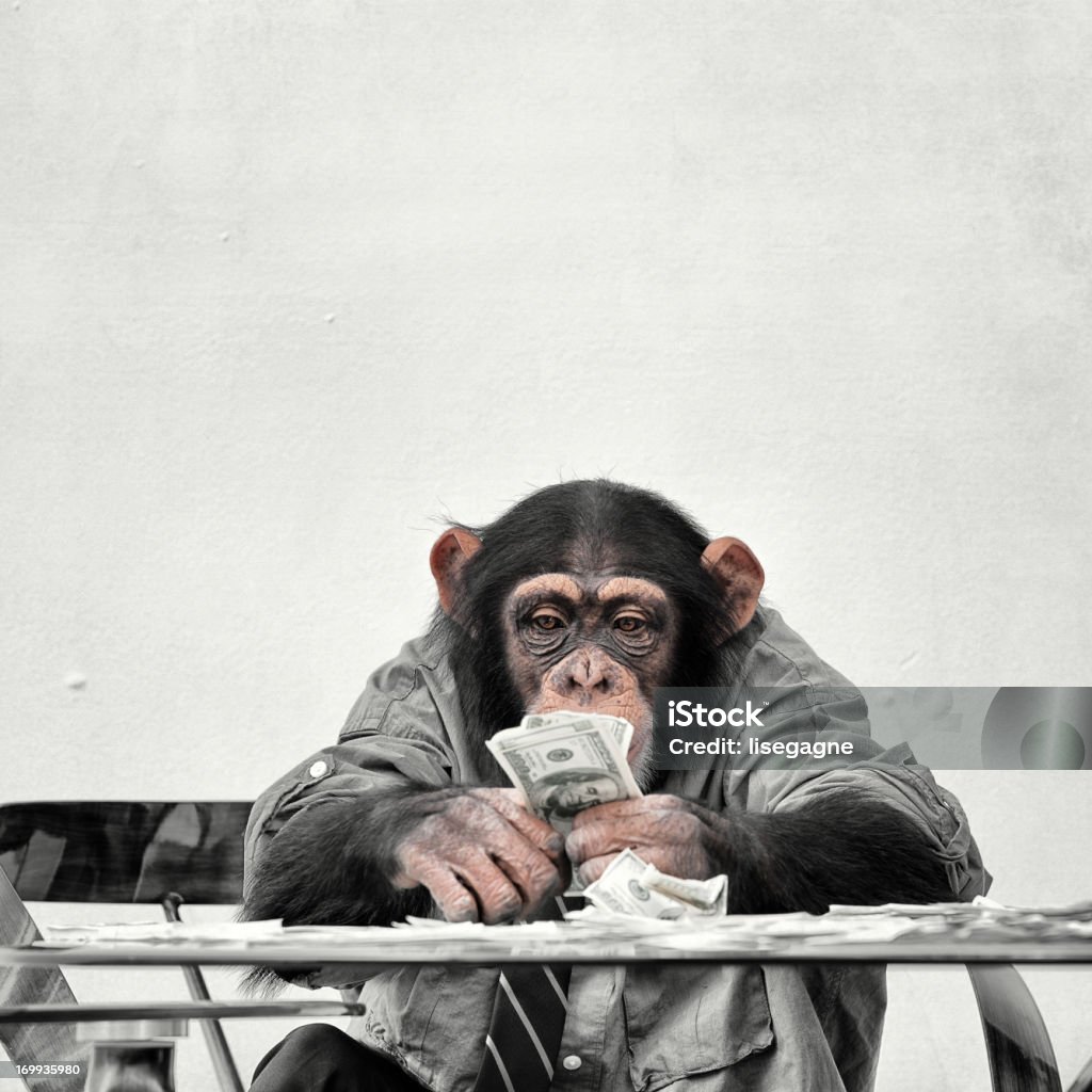Chimp with cash - Royalty-free Para birimi Stok görsel