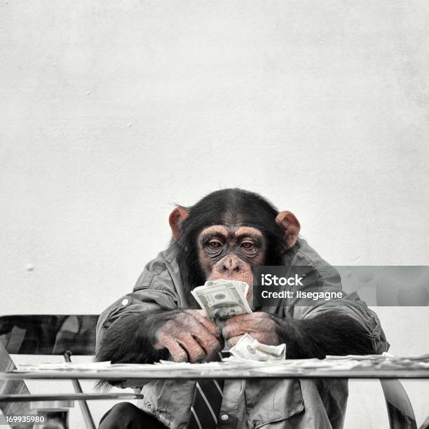 Chimp With Cash Stok Fotoğraflar & Para birimi‘nin Daha Fazla Resimleri - Para birimi, Kuyruksuz Maymun, Maymun