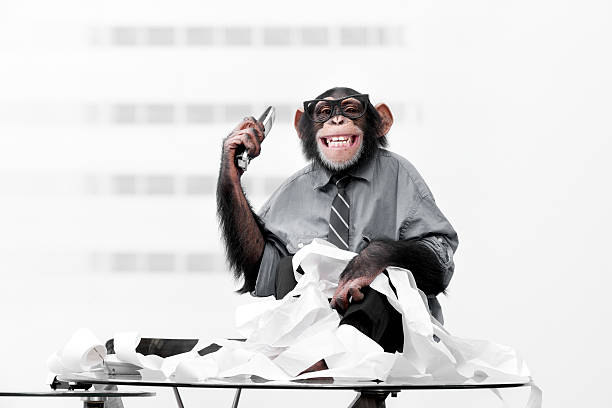 hombre de negocios en ropa chimpancé - business men humor macho fotografías e imágenes de stock