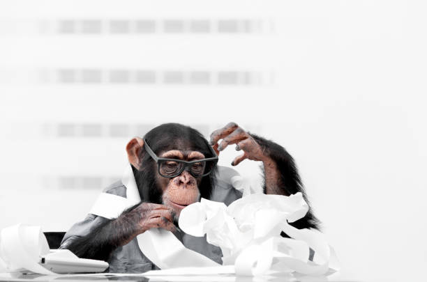 Male chimpanzee in business clothes surrounded by paper