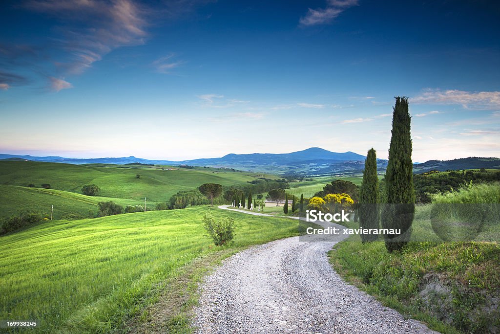 Road die Schönheit der Toskana - Lizenzfrei Landschaft Stock-Foto