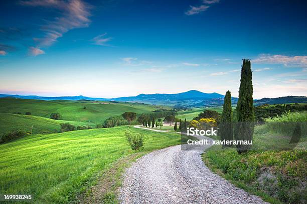 Road Die Schönheit Der Toskana Stockfoto und mehr Bilder von Landschaft - Landschaft, Landschaftspanorama, Weg