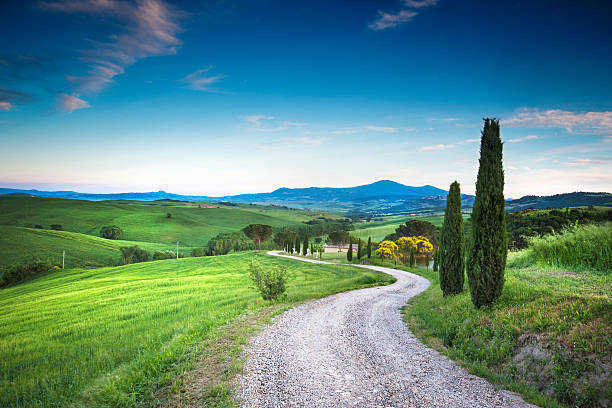 route de la beauté de toscane - winding road sunlight field cultivated land photos et images de collection