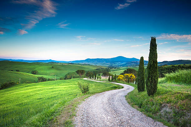 road の美しいトスカーナ - road footpath field scenics ストックフォトと画像