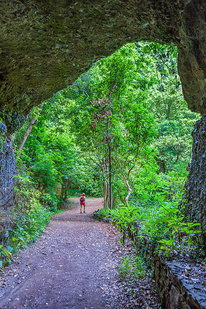 istock Footpath in Los Tilos Reserve, La Palma 169938828