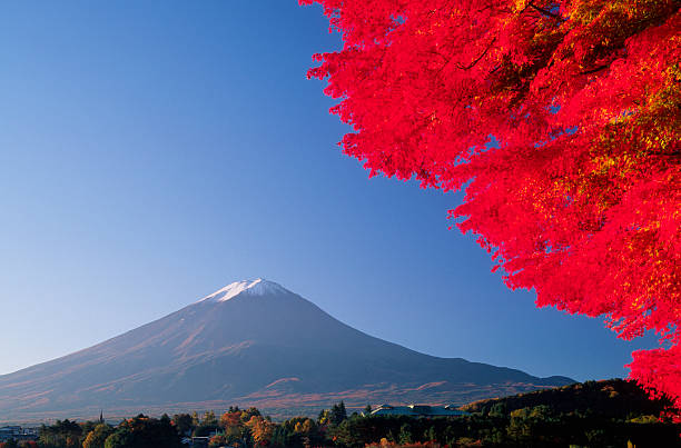 富士山の秋 - autumn leaf japanese maple red ストックフォトと画像
