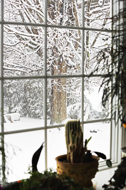 ventisca flying nieve la ventana panorámica - isweather2013 fotografías e imágenes de stock