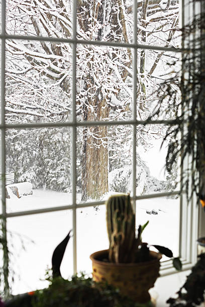 tormenta di neve vola bay window - isweather2013 foto e immagini stock