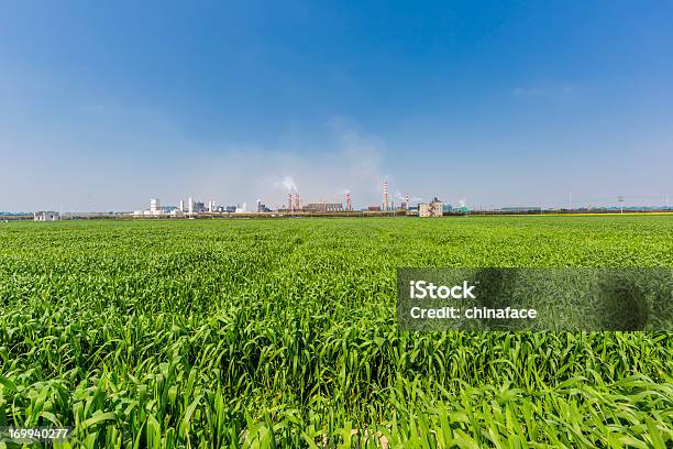 Zona Industriale - Fotografie stock e altre immagini di Colore verde - Colore verde, Conservazione ambientale, Cielo