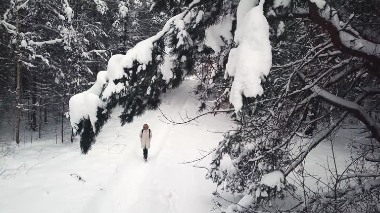 Aerial view woman walking snowy path at cinematic spruce forest snowfall enjoy freshness tilt down