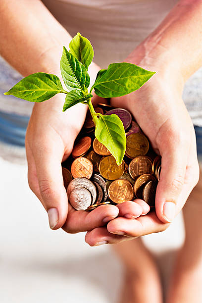 istock Female hands hold flourishing seedling growing from coins 169940700