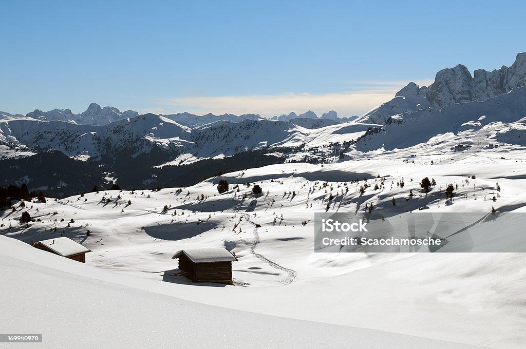 Paradis hivernal - Photo de Alpe de Siusi libre de droits