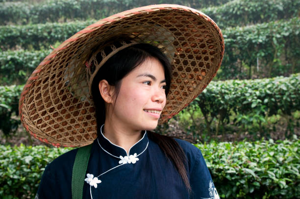 istock Chinese Girl 169941009