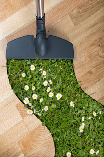 Wooden floor being vacuum cleaned, cut in a shape and grass and daisies replaced the wood where the hoover passed.