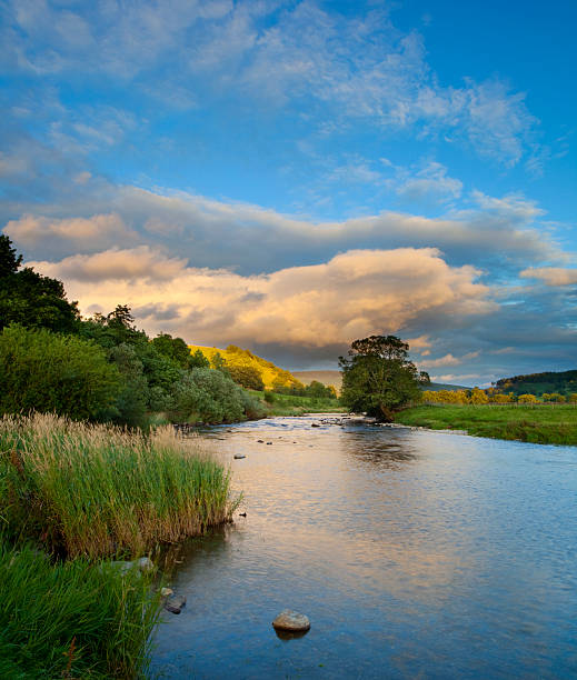 Evening near Burnsall in the Yorkshire Dales.