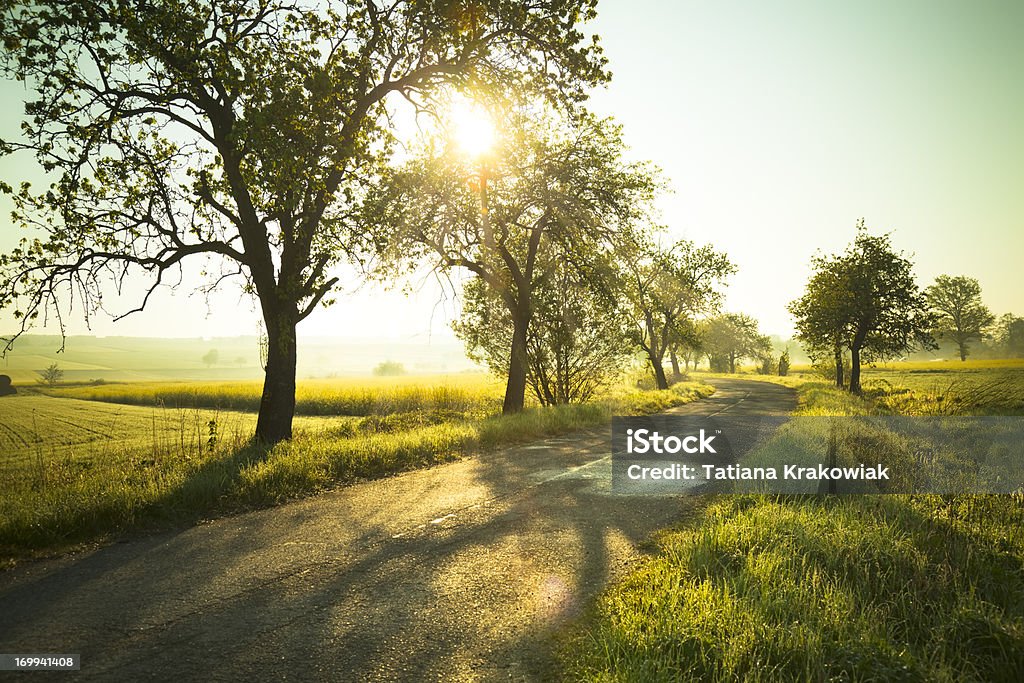 Sonnenaufgang über den Feldern - Lizenzfrei Frühling Stock-Foto