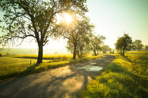 Sunrise over fields and country road.