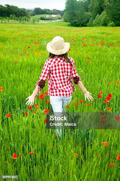 Niño De Cruzar Una Springfield Foto de stock y más banco de imágenes de Campo - Tierra cultivada - Campo - Tierra cultivada, Niño, Trigo