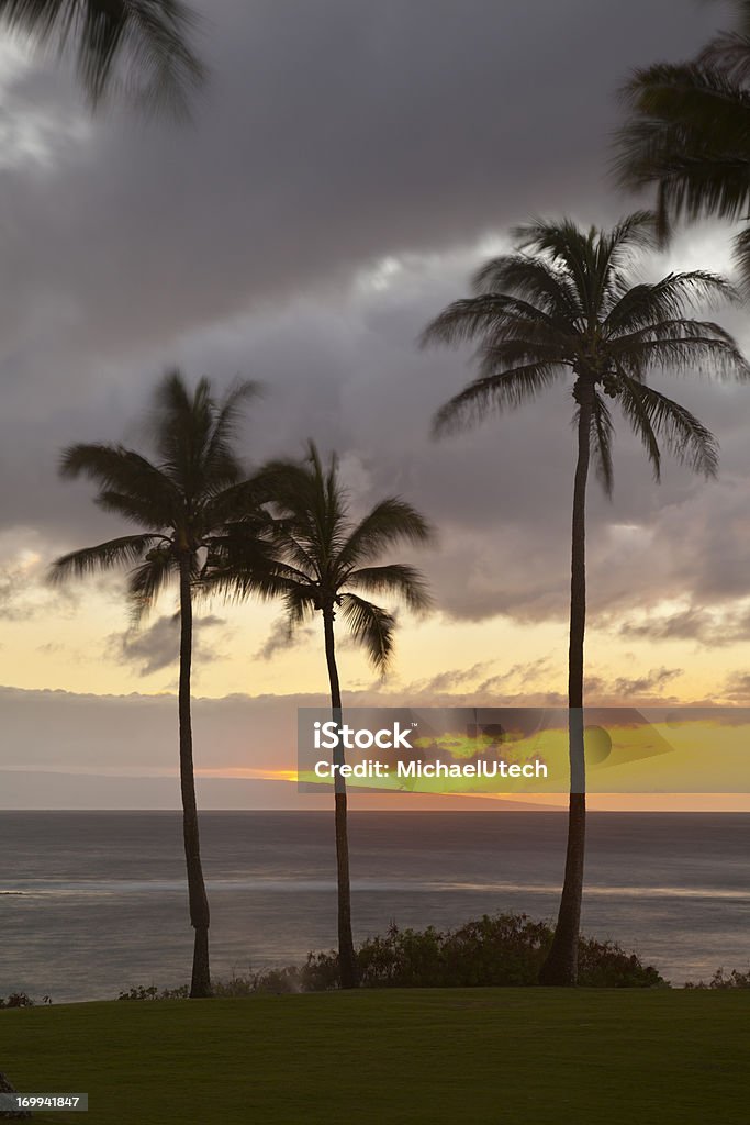 夕暮れのヤシの木でナピリポイント、マウイ島 - アメリカ合衆国のロイヤリティフリーストックフォト