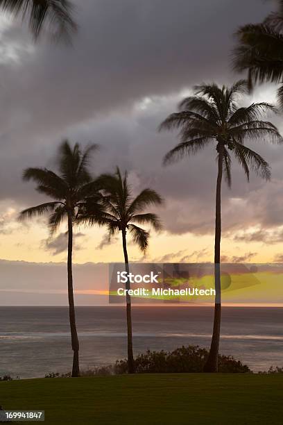 夕暮れのヤシの木でナピリポイントマウイ島 - アメリカ合衆国のストックフォトや画像を多数ご用意 - アメリカ合衆国, カラフル, ココヤシの木