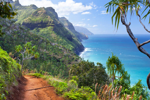 istock Kalalau Trail, Kauai 169941869