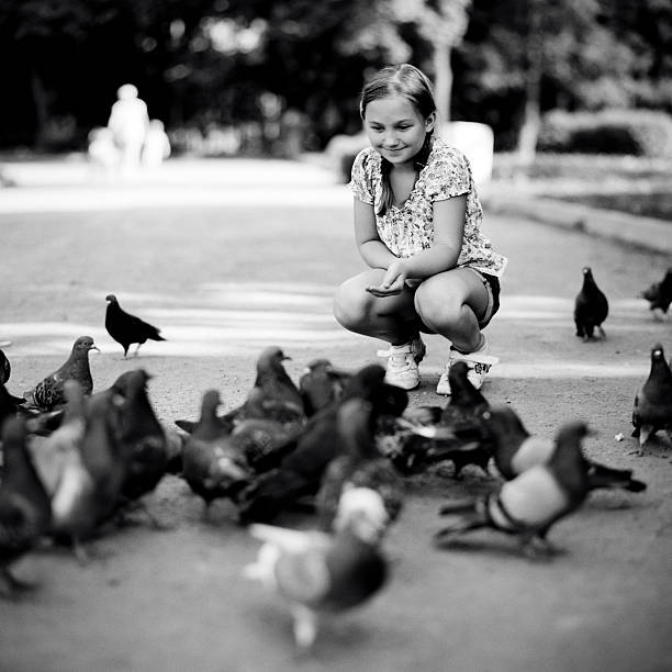 istock Little girl feeding pigeons 169942155
