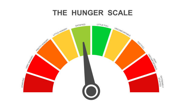Hunger scale as dial dashboard with arrow. Food fullness level. Ghrelin and leptin balance meter. Appetite regulation infographic for weight loss Hunger scale as dial dashboard with arrow. Food fullness level. Ghrelin and leptin balance meter. Appetite regulation infographic for weight loss. Vector flat illustration hungry stock illustrations