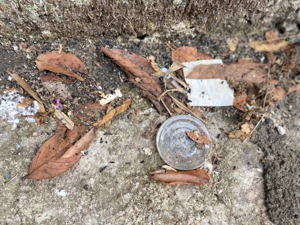 istock Plastic Pollution: The Ugly Truth Behind Our Convenience 1699438916