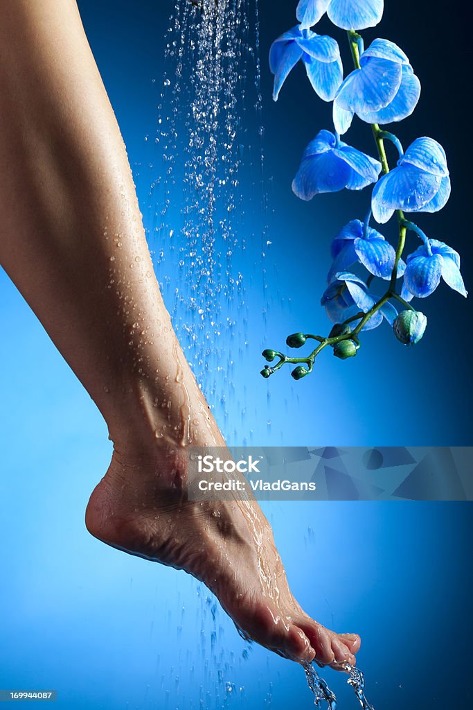 Nogi i niebieski Orchidea - Zbiór zdjęć royalty-free (Balneoterapia)