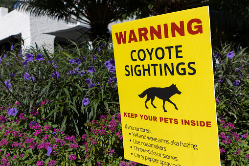 A sign warns neighborhood pet owners about coyote sightings in the suburbs.