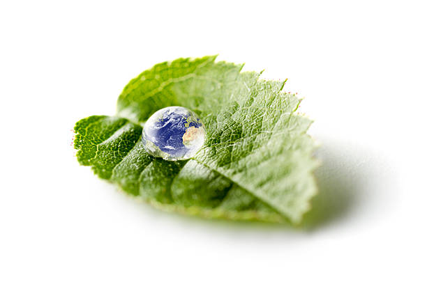 Earth On Green Leaf - Nature Water Environment Bizarre
