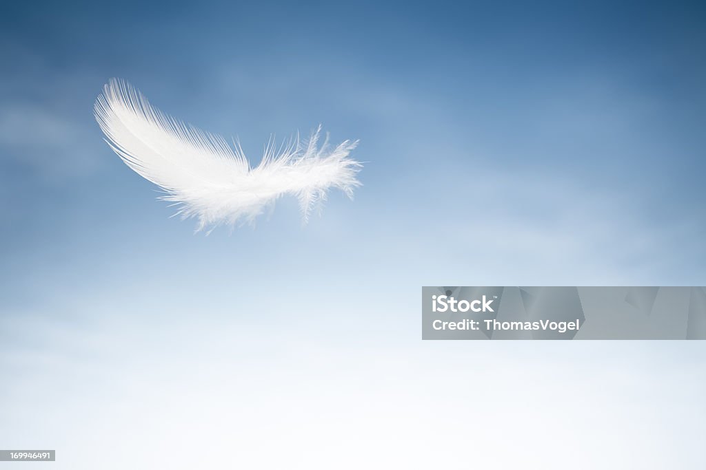 Pájaro volando Feater-cielo azul y nubes blancas - Foto de stock de Pluma de ave libre de derechos