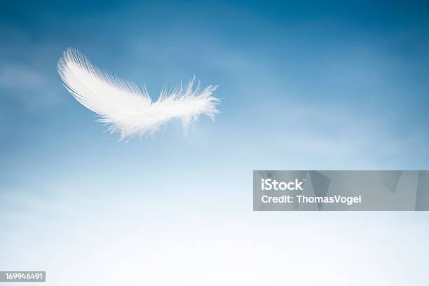 Pájaro Volando Featercielo Azul Y Nubes Blancas Foto de stock y más banco de imágenes de Pluma de ave - Pluma de ave, Ligero, Blanco - Color