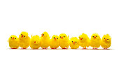 Row of Baby Chicken - Chick Humor Fun Easter