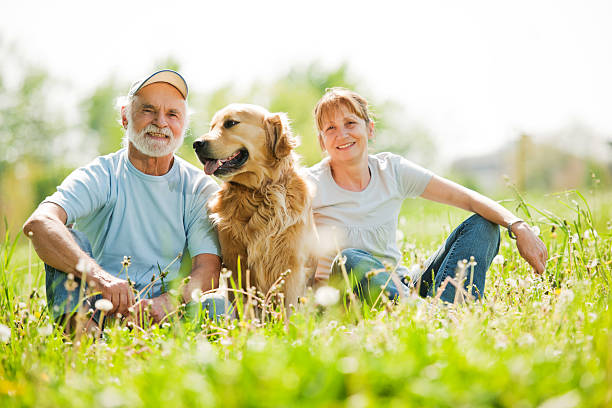 istock Two elderly people with their dog in the park. 169947064